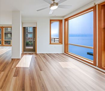 Water Views